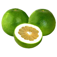 Свити (Оробланко)