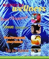 Формула Wellness (декабрь 2005)